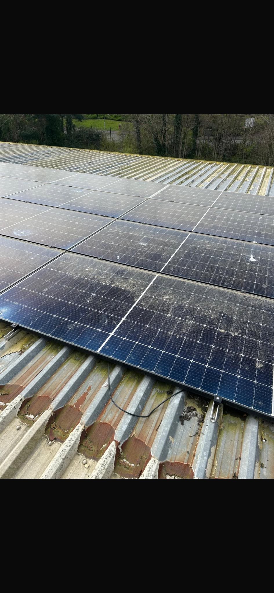Heavily soiled solar panels with bird fouling before an FLD maintenance clean