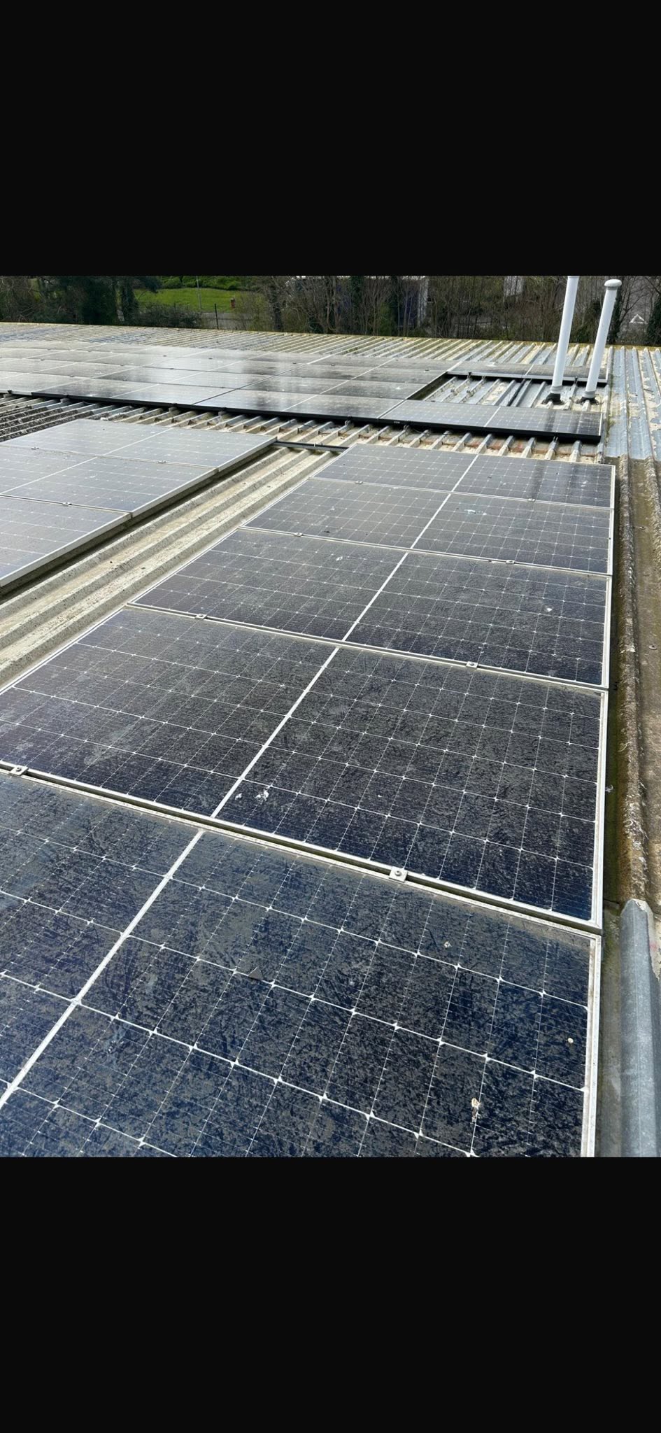Soiled commercial solar modules before cleaning, showing a dulling film across the glass